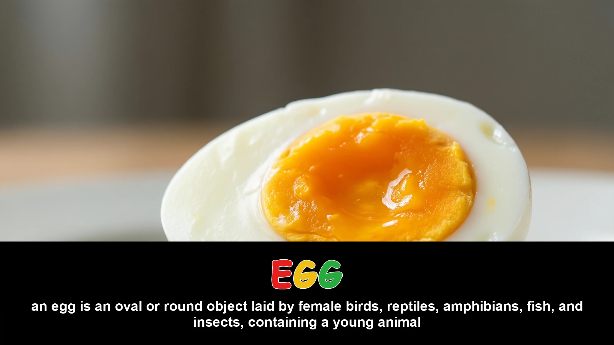 English Illustration for egg